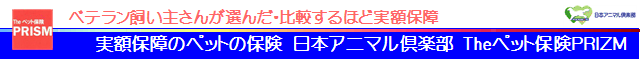xe傳񂪑I񂾁Erقǎzۏ zۏ̃ybg̕ی@{Aj}y@TheybgیPRIZM